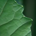 通宝tb222官网全方位解析与权威购买指南 3ykaq