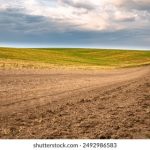 选择正规平台进行缅甸果博官网注册的注意事项与评估标准 b2md3b