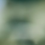 选择t博国际需要关注的资金安全与客服支持要点 drsop3e