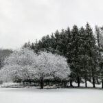 《爸爸去哪儿》最新直播观看指南与精彩看点解析 13hsta